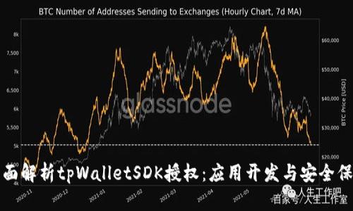 全面解析tpWalletSDK授权：应用开发与安全保障