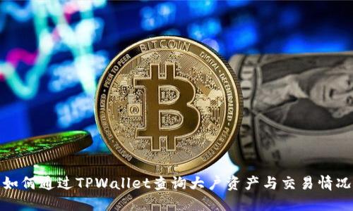 如何通过TPWallet查询大户资产与交易情况