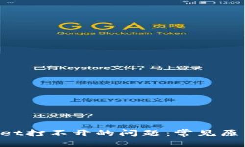 解决TP Wallet打不开的问题：常见原因及解决方法