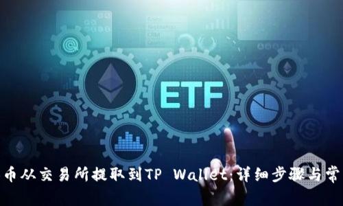 如何将BNB币从交易所提取到TP Wallet：详细步骤与常见问题解答