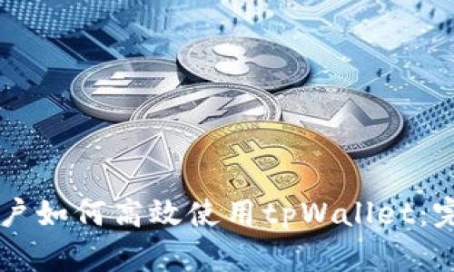 中国用户如何高效使用tpWallet：完整指南