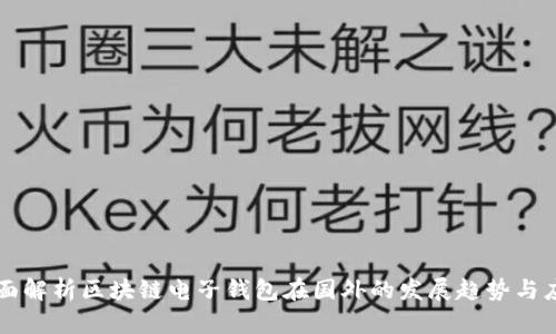 全面解析区块链电子钱包在国外的发展趋势与应用