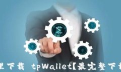 在哪里下载 tpWallet？最完