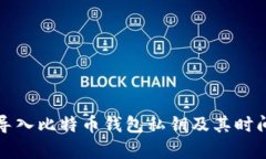 如何快速导入比特币钱包