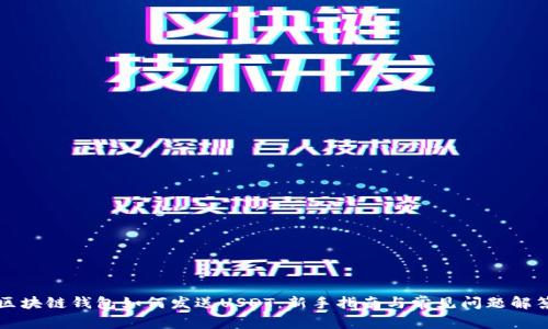 区块链钱包如何发送USDT：新手指南与常见问题解答