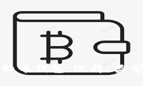 全面解析比特币钱包：选择、类型及安全策略