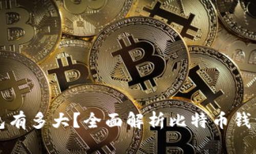 比特币钱包有多大？全面解析比特币钱包存储需求
