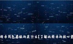 比特币钱包存放的是什么