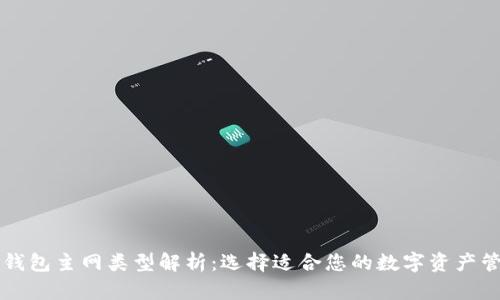 以太坊钱包主网类型解析：选择适合您的数字资产管理工具