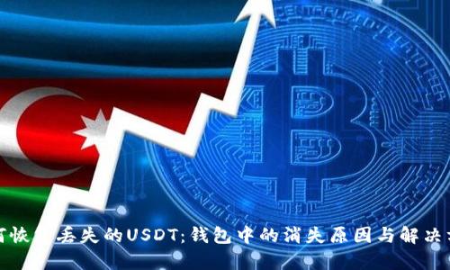 如何恢复丢失的USDT：钱包中的消失原因与解决方案
