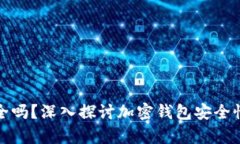 tpwallet安全吗？深入探讨加